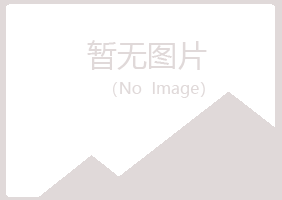 平鲁区岑迷化学有限公司